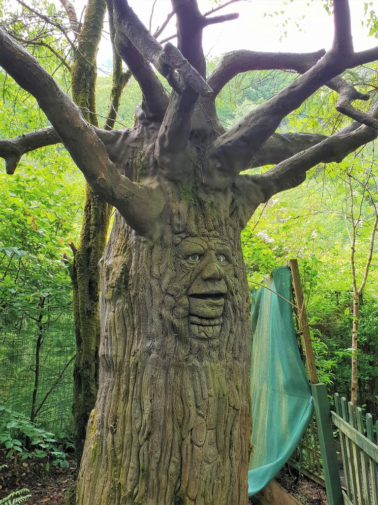 the-talking-tree-at-king-arthur's-labyrinth